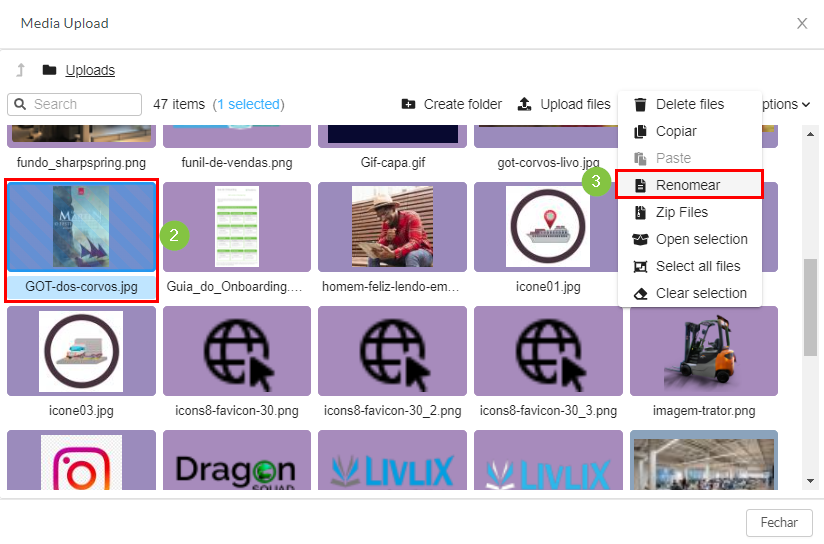 Renaming_Files_3.png