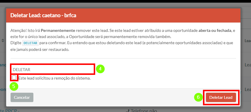 Excluir Lead