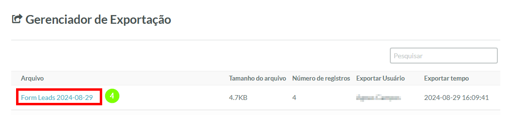 Exportação de Leads de Formulário