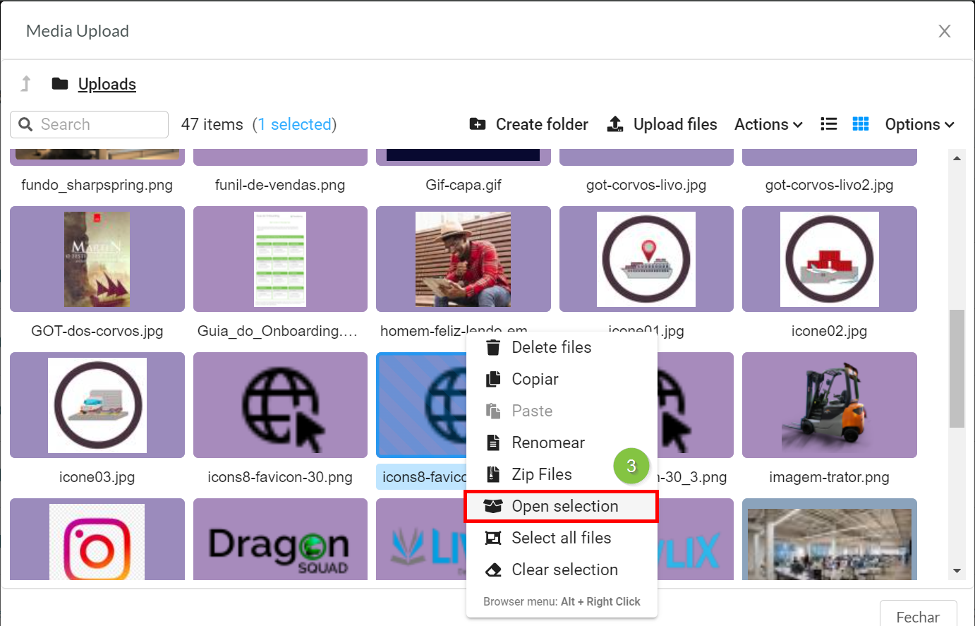 Visualizar Arquivo de Mídia