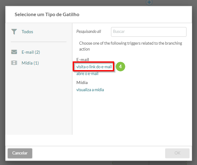 Visitas do e-mail opção