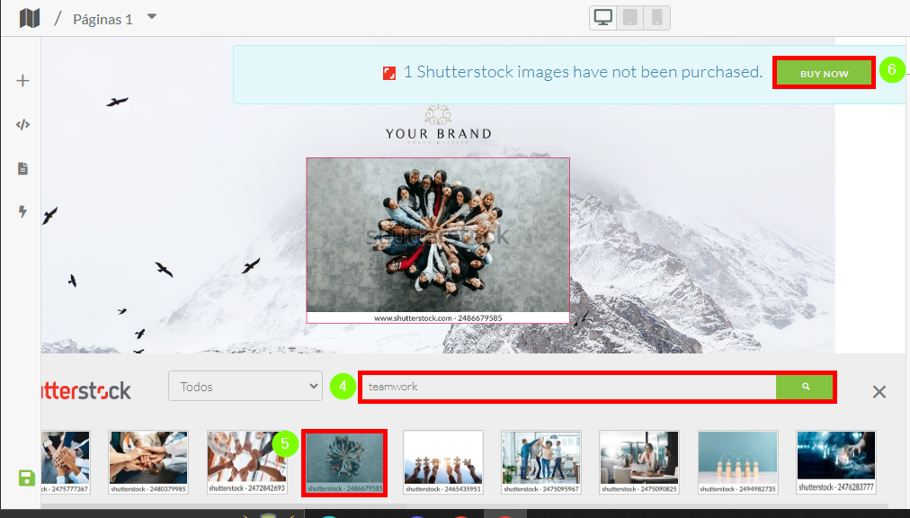 Pesquise na biblioteca do shutterstock