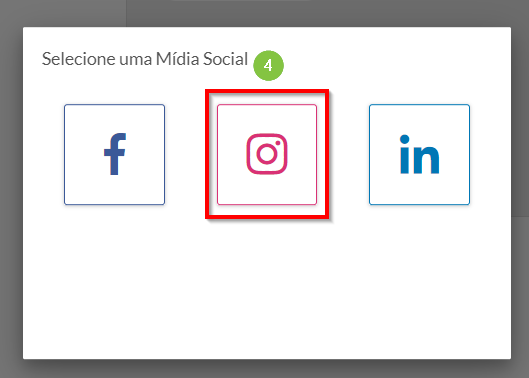 Selecionar Instagram